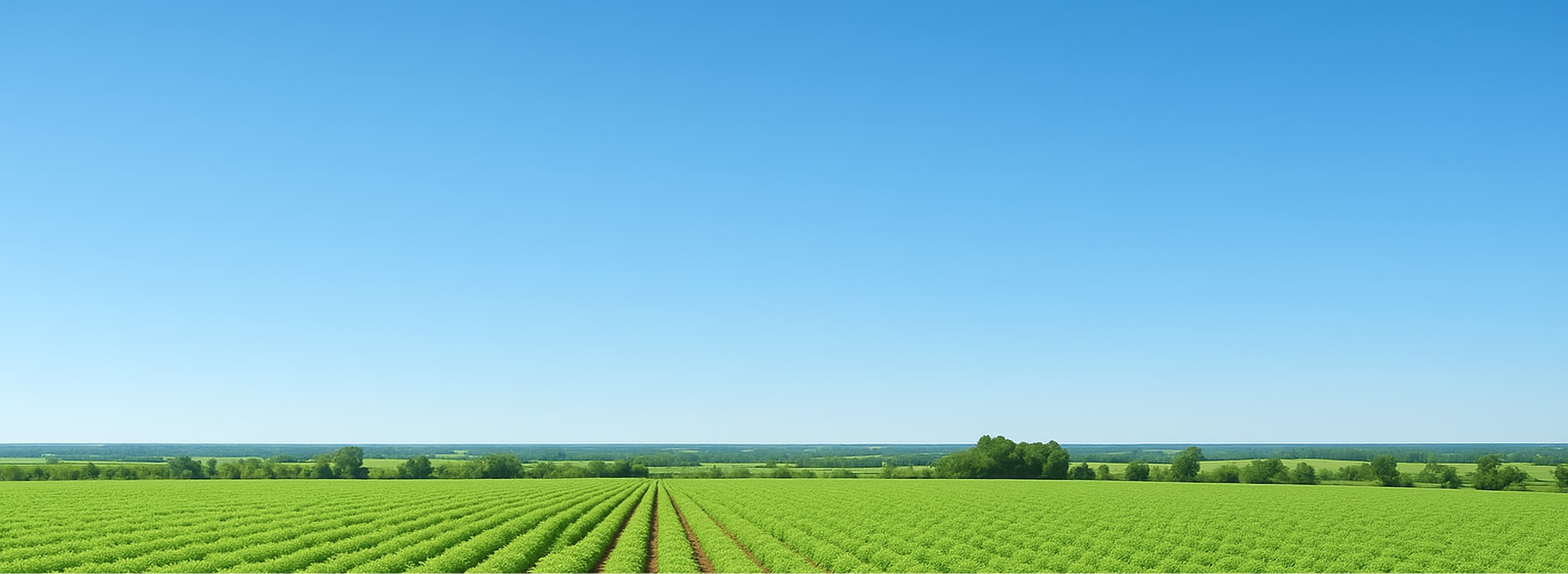 A cozy cabin nestled in the mountains surrounded by pine trees and scenic nature.